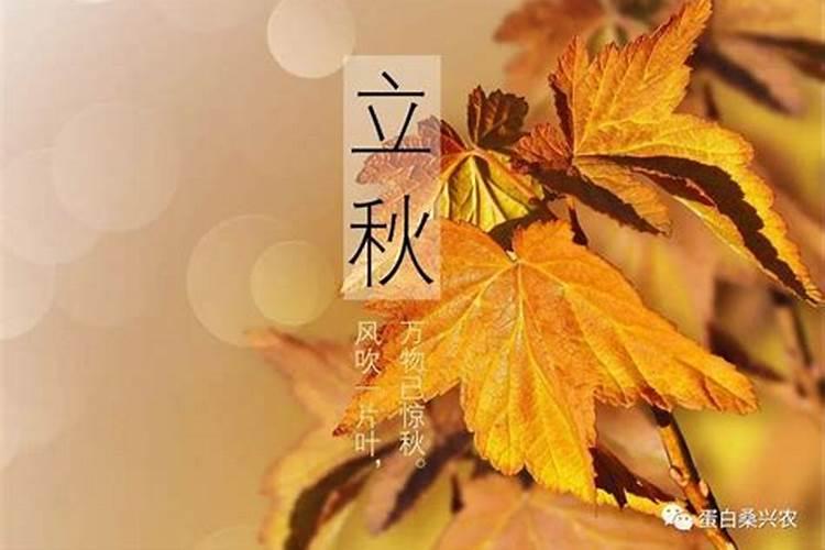 2025年及以后犯太岁的属相