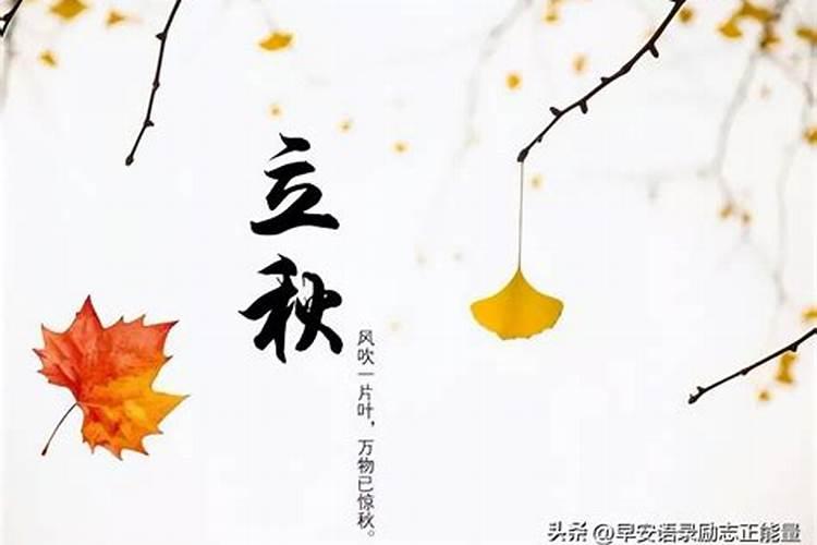 2025年的太岁属相