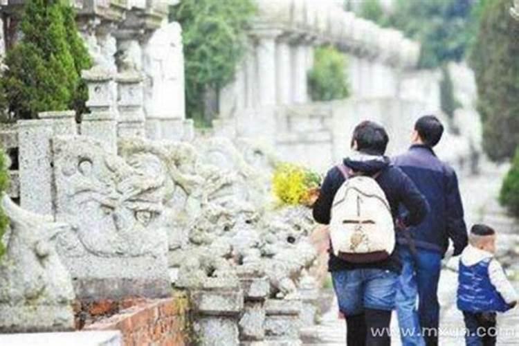 2025年属鸡人全年运势
