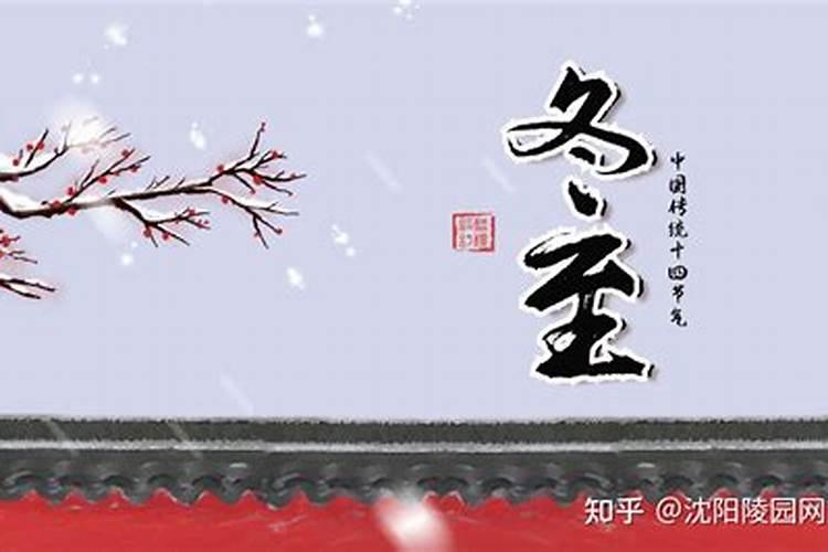 兔人在蛇年2025年每月运势如何