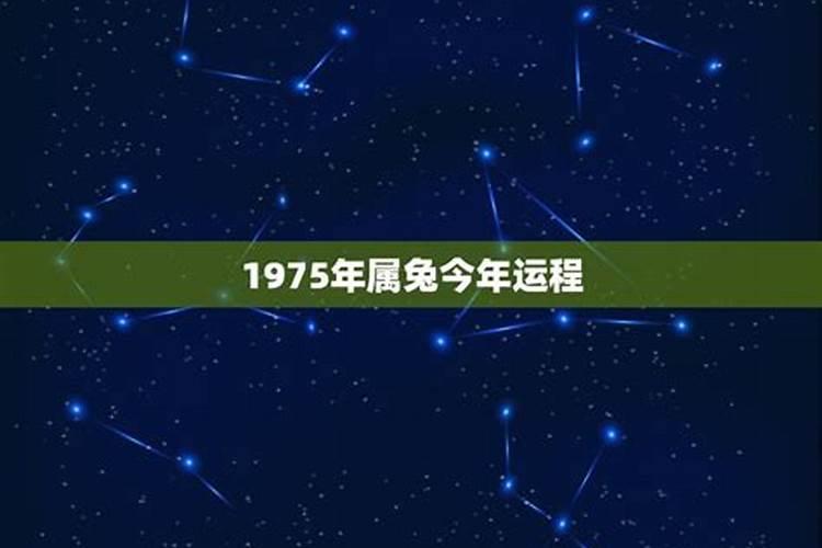 24年属兔的总体运程每月运程详解