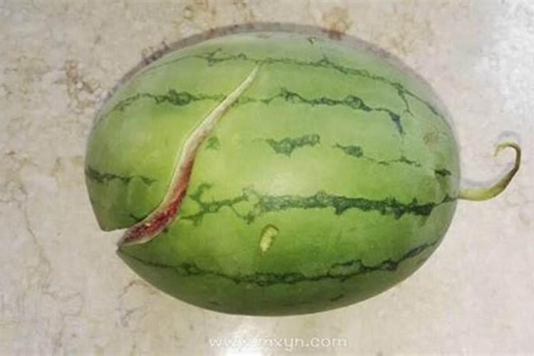 梦见已故姥爷牙疼的预兆