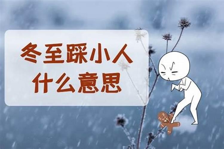81年五行属相