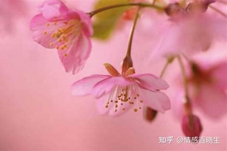 2025年属牛女每月运势