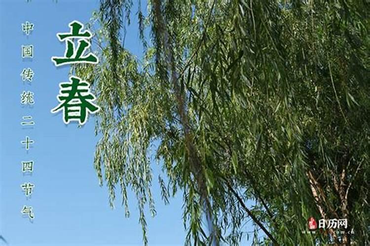 属龙人将来十年运势推算 十年运势走向？