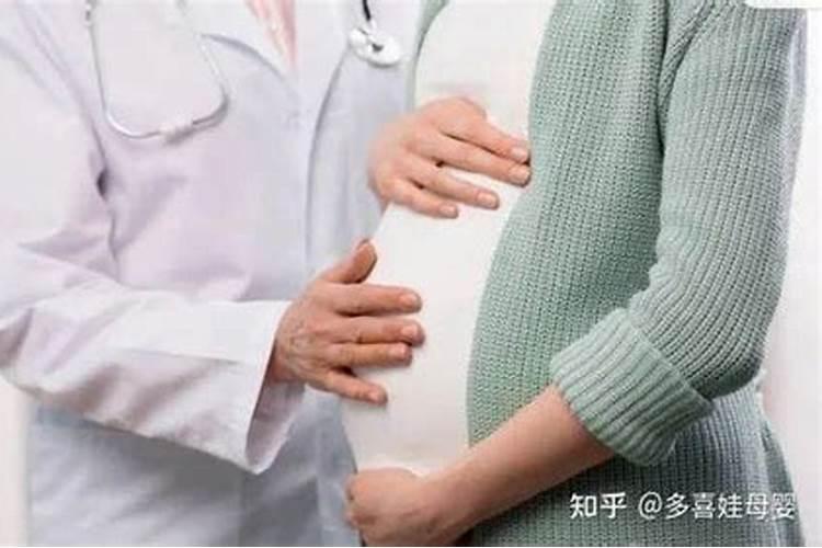 成都端午节适合去哪玩