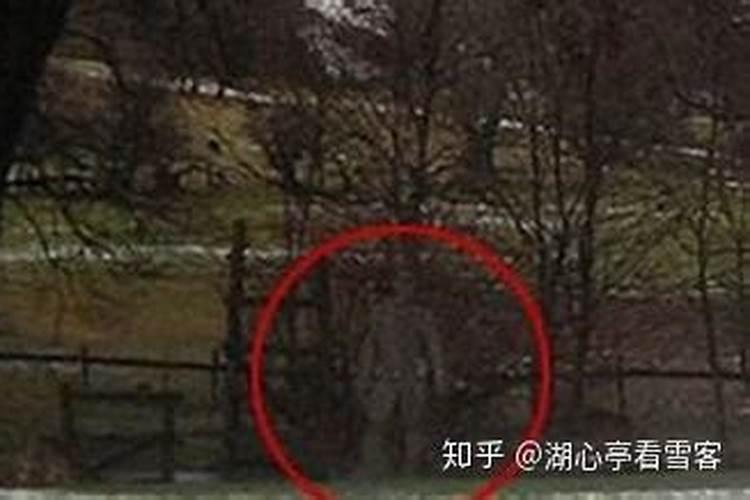 根据生辰八字入宅吉日,如何用生辰八字算搬家的黄道吉日 急急急百度...
