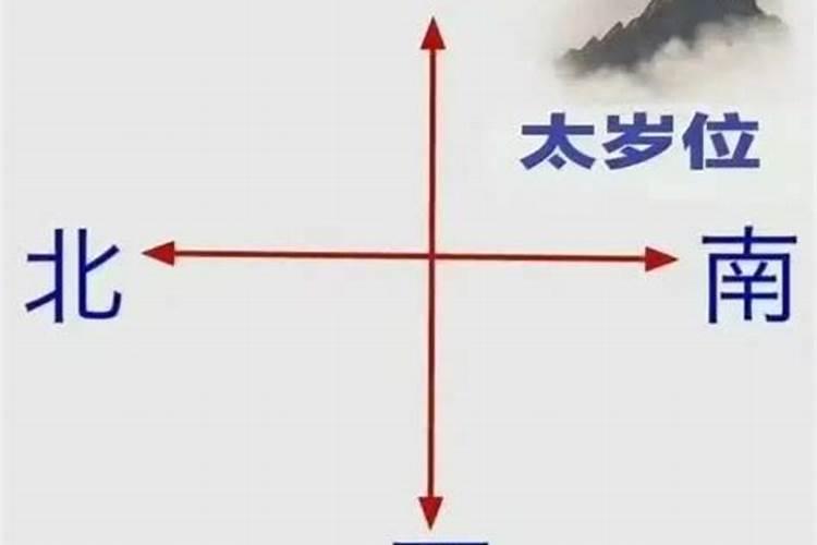 2025年是什么属相年