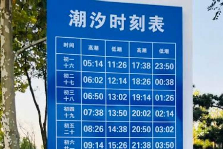 青岛正月十五有灯会吗