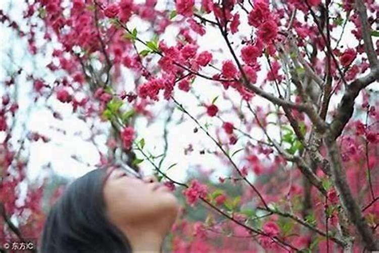 桃花劫有哪些特征 如何化解