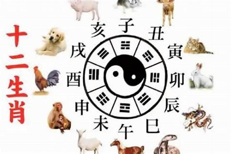 八字有多少格局 如何看八字格局