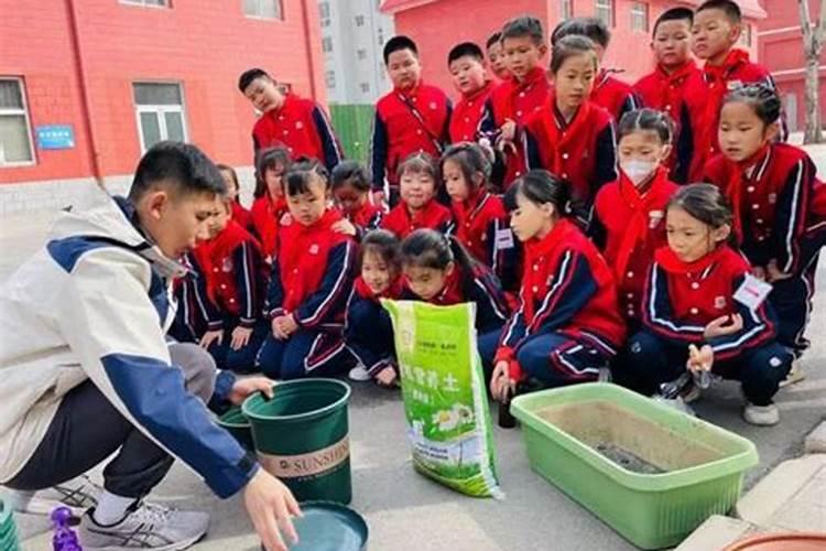 2025年属马犯太岁佩戴什么化解