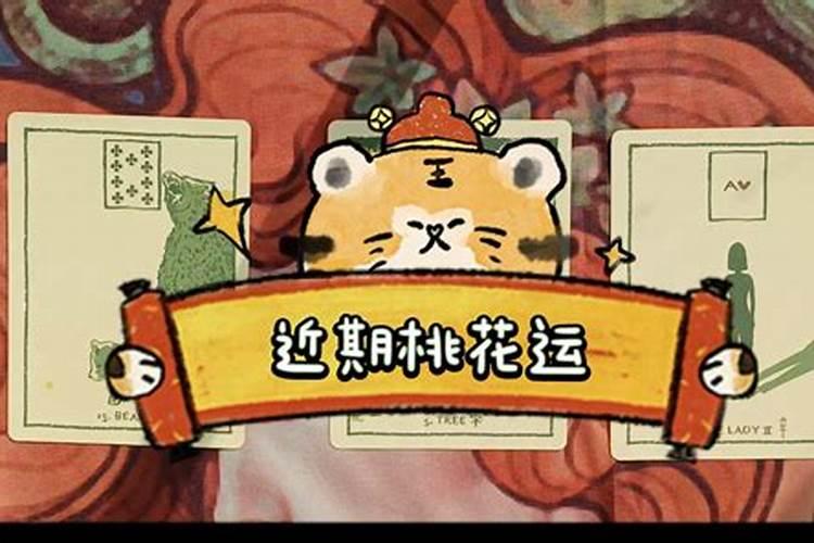 1994年5月6日凌晨三点到五点女今年桃花走势