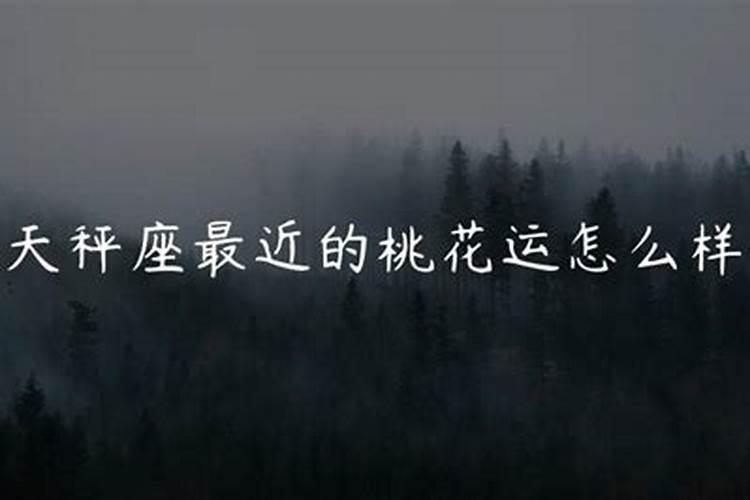 摩羯座2024年桃花感情运势如何