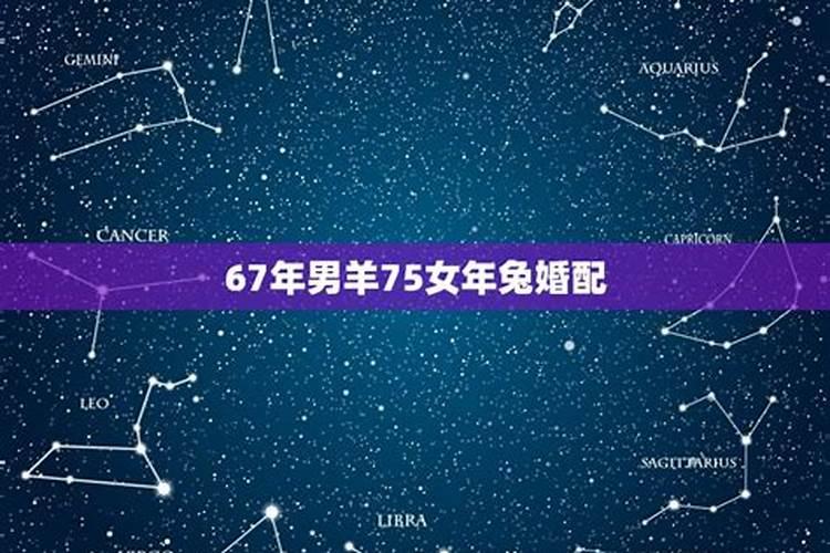 男农历67年十一月二十四日卯时生与女74年二月十九日寅时生的八字合不...