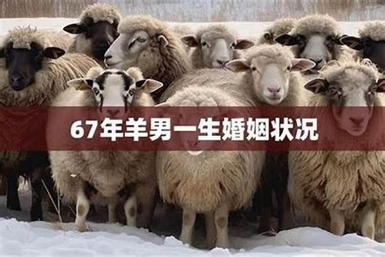 1967年属羊人最佳婚配属相,女羊最适合婚配属相表