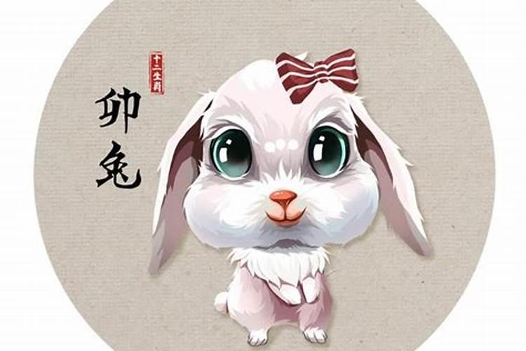 羊和兔能不能白头到老 多沟通少争执？