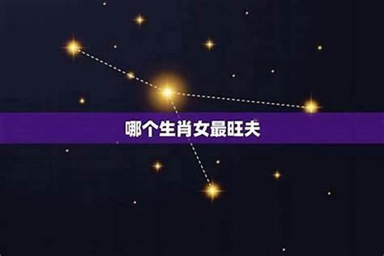 佛缘重的人为什么晚婚,为什么佛缘重的人犯驳婚煞