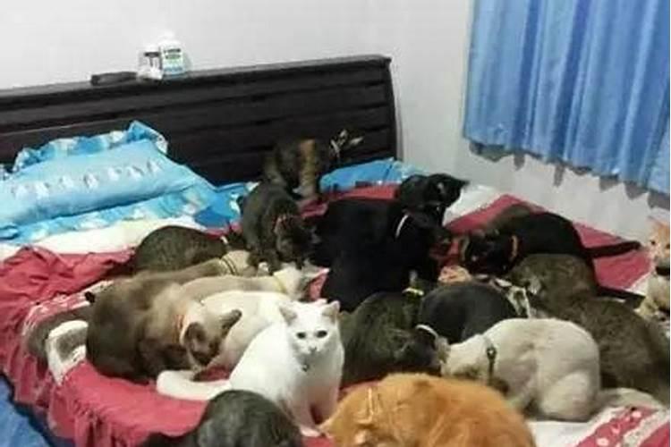 女人的财库在什么地方