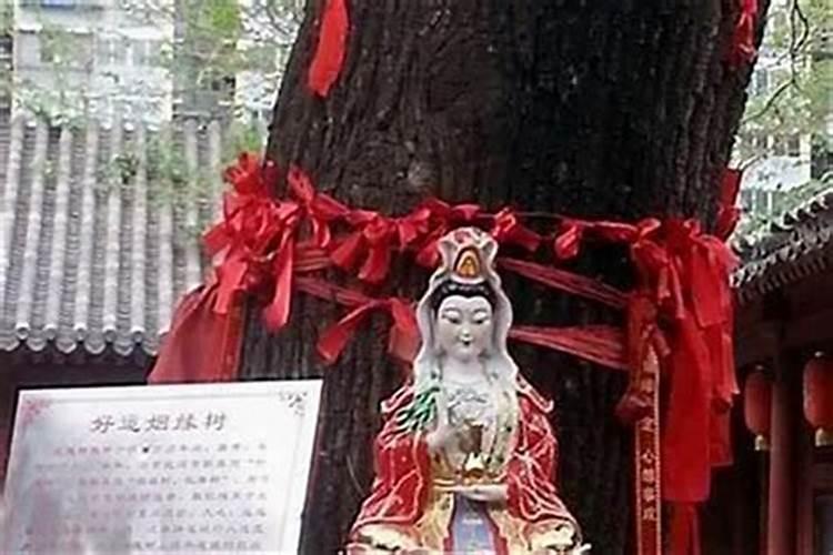 1991年腊八节出生的,属什么啊？