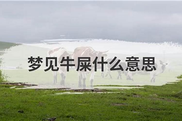 梦见牛粪是怎么回事,梦见牛粪这是好还是坏？