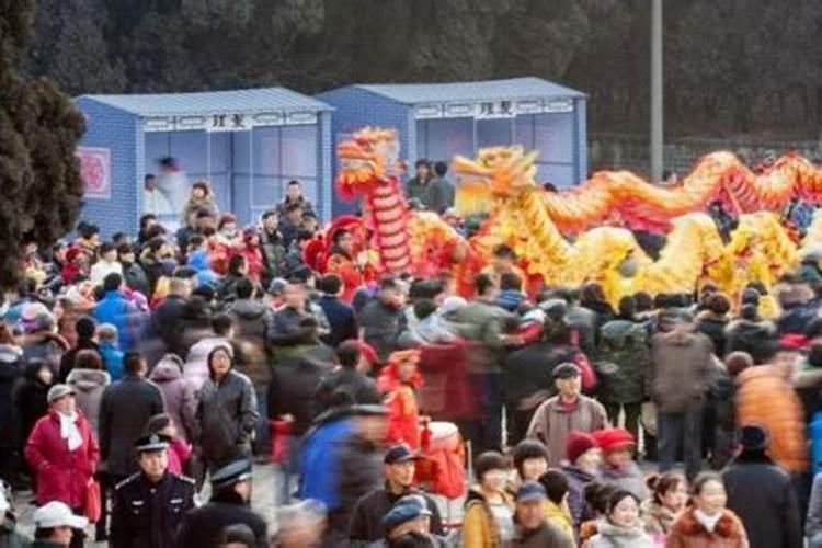 猪年犯太岁的生肖戴什么,猪年属蛇的犯太岁吗
