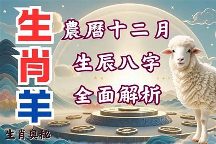 12月的羊好吗？