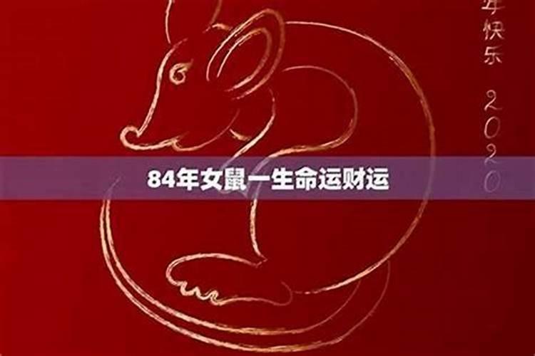 九六年女鼠2025年运势如何