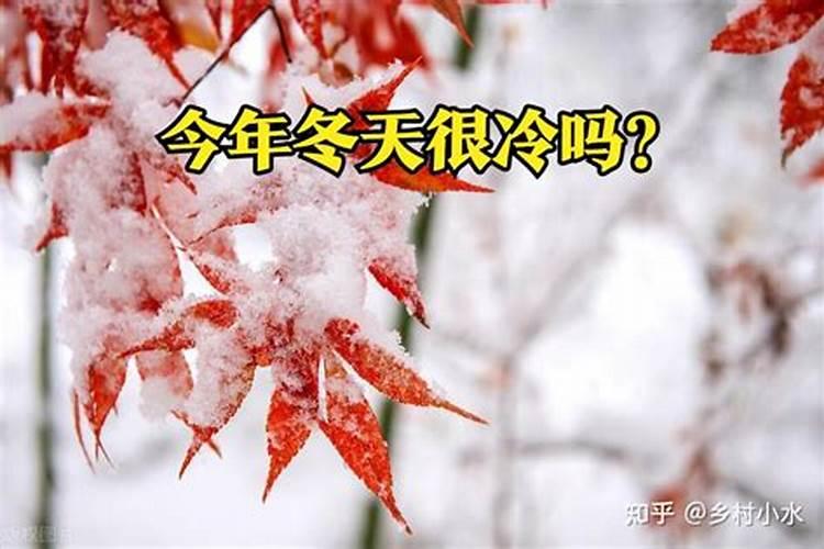 癸亥月指什么月份。