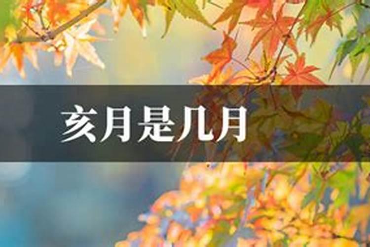 1995年亥月是几月了