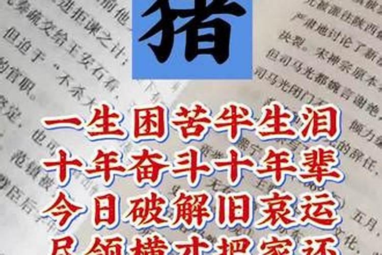 农历什么命