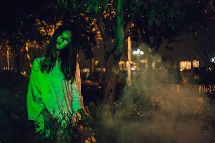 男属羊女属猪好不好
