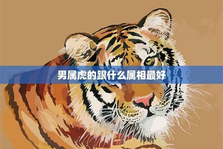 1999年属兔男婚配表,1999年兔男和什么属相最合适