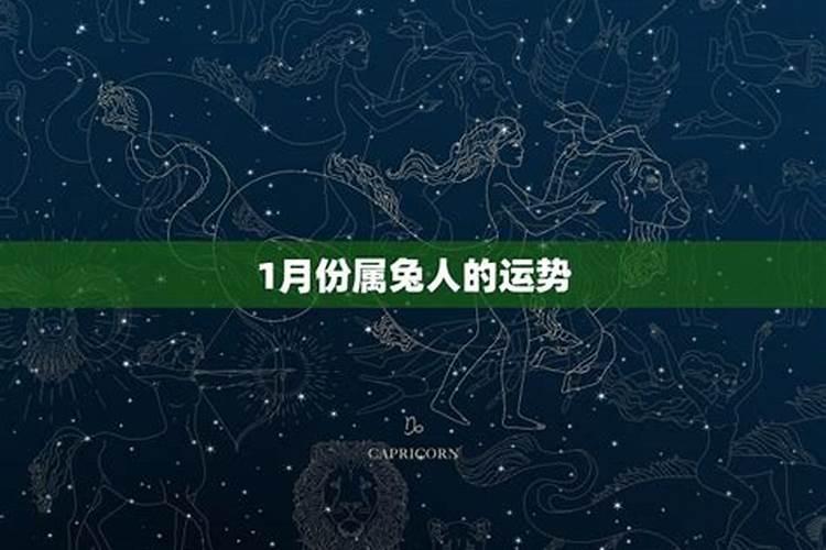 女,属兔,1987年农历12月11日出生的人命运