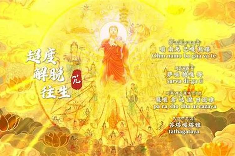 1991年属羊人未来五年的运势