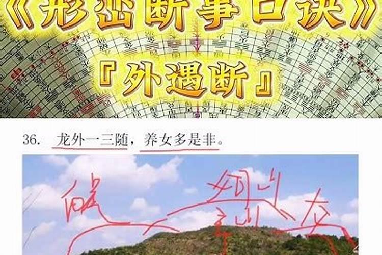 2003属羊女人最佳丈夫属相