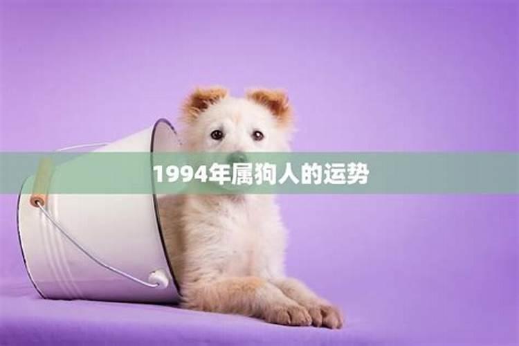 1994年属狗未来5年运势 2025年生肖狗财运喜事多？