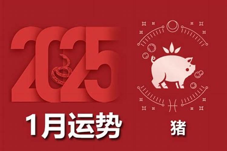 60年属鼠60岁需要注意什么