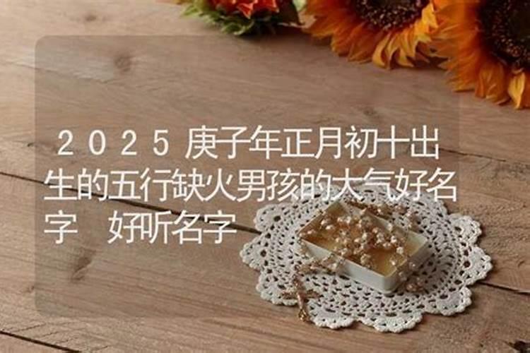 你好,请问寿生债怎么还