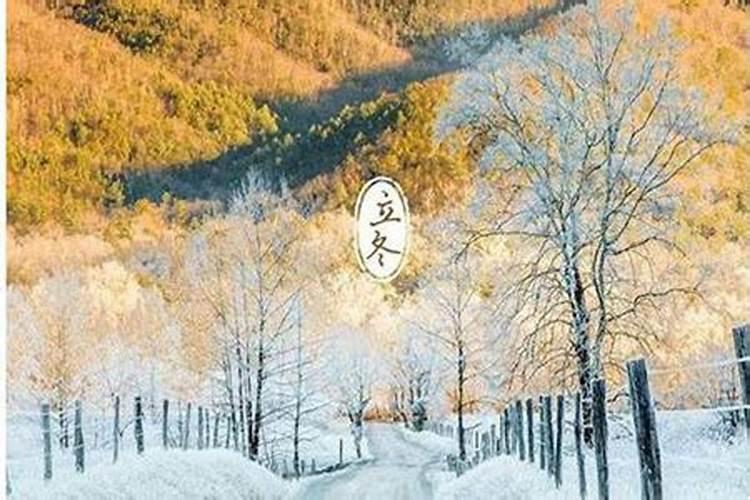 请问农历1978年4月13日早上8点出生的男孩运程如何？