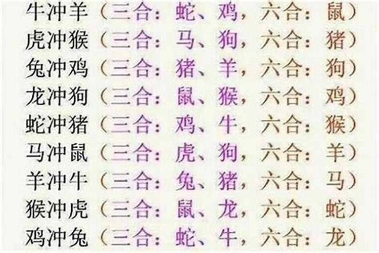 羊和龙属相配婚姻如何 羊和龙可以做夫妻吗