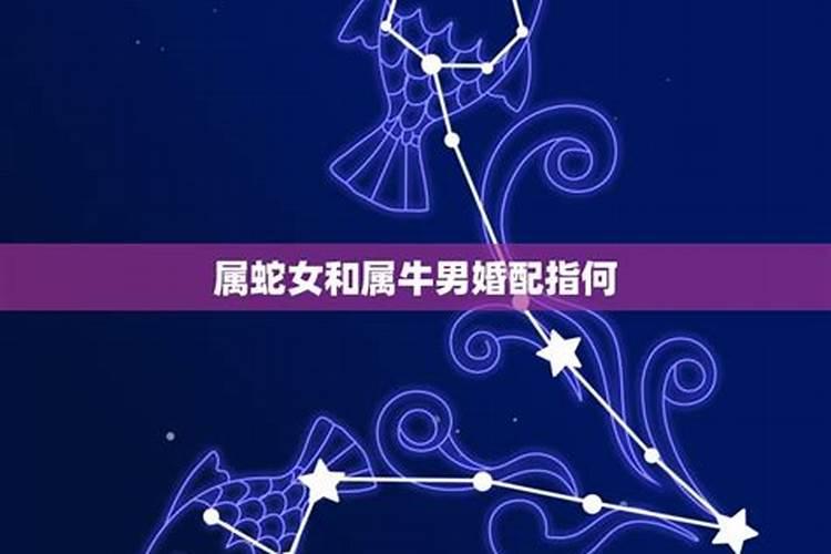 西安端午节有什么活动 西安端午节有哪些活动