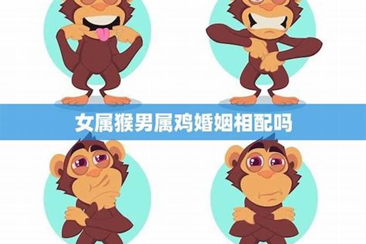 2025属马几月有一难 2025属马人全年运势如何