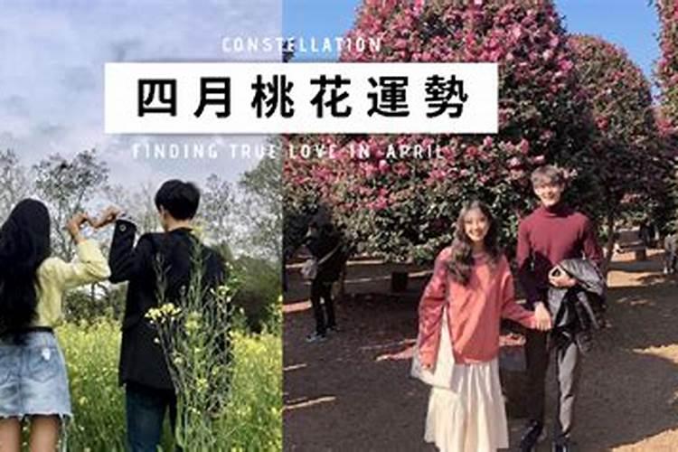 四月份桃花连连的生肖,趁早脱单？