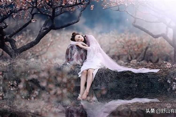 梦见骡子什么意思,梦见骡子怎么回事