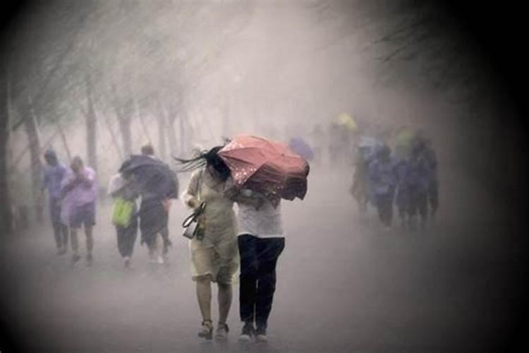 偏童子是什么意思