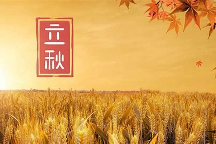 立秋后面是啥节气 立秋后面是什么节气