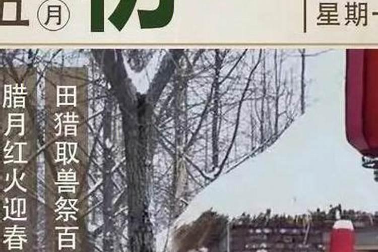 农历12月出生属蛇人命好吗