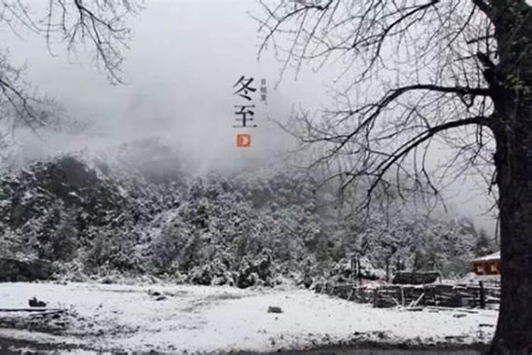 壬寅年辛亥月的男孩出生在癸巳日好不好