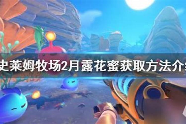 怎么查命里有没有童子